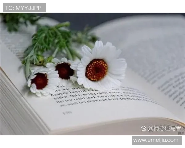 姚明分享职业生涯中的伤痛经历与复出心路历程的深刻感悟